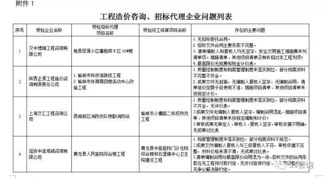 工程造價咨詢、招標代理企業(yè)問題列表