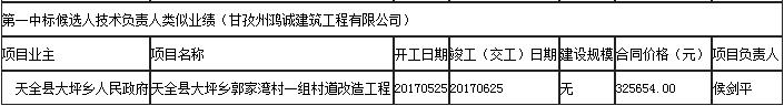 第一中標候選人技術負責人類似業績