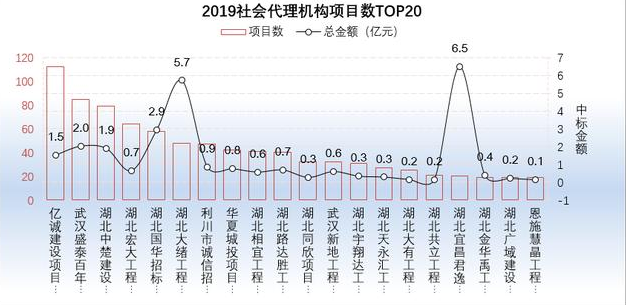 2019社會代理機構項目數TOP20